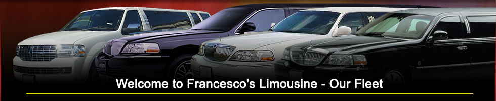 Limousine Fleet